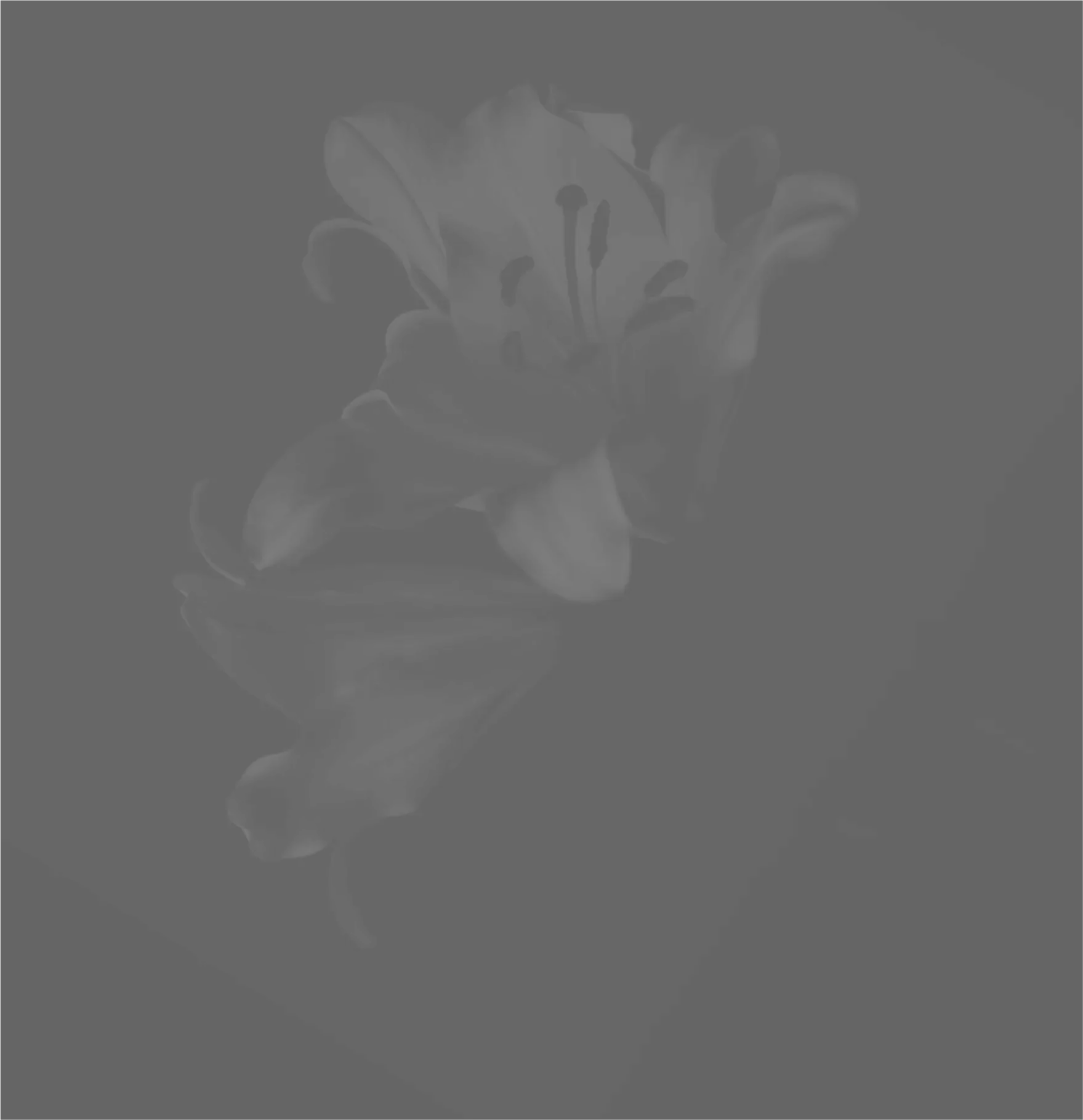 background image about image2